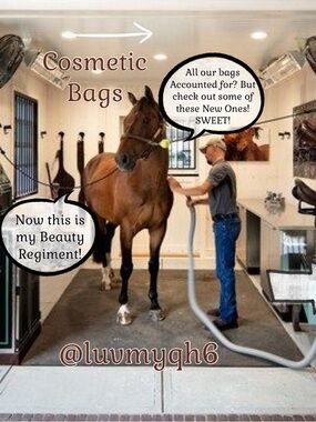 Variety of Cosmetic Bags